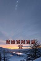 情至终时终成空