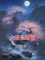 夫君是断袖