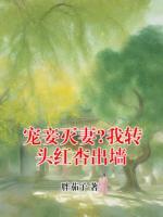 宠妾灭妻?我转头红杏出墙