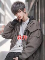 软件