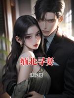 缅北寻妻