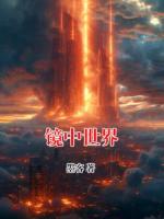 镜中世界