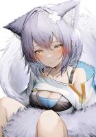 狐狸和狼