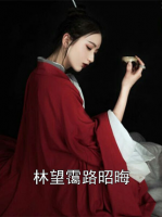林望霭路昭晦