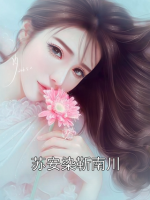 苏安染靳南川