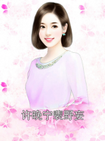 许晚宁裴野妄