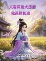 夫君兼祧大房后，我选择和离！