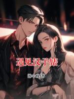 遇见汉子婊