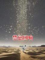 禁忌回响