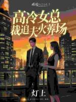高冷女总裁追夫火葬场