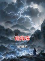 南海珠