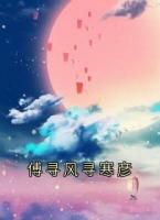 傅寻风寻寒彦