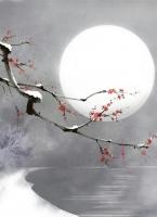 沈绾裴渊