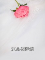 江念初陆燃