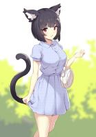 备选求婚