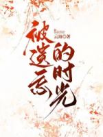 被遗忘的时光