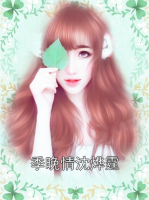 季晚情沈烨霆