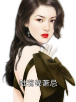 陆若锦萧忌