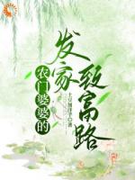 农门婆婆的发家致富路