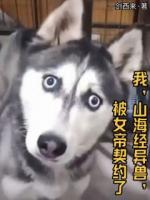 我，山海经异兽，被女帝契约了