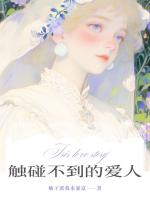 触碰不到的爱人