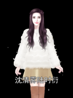 沈清雾陆时衍