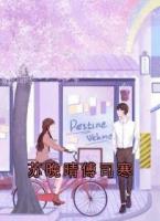 苏晚晴傅司寒