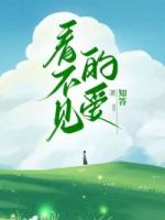 看不见的爱