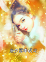 唐夕雾季砚深