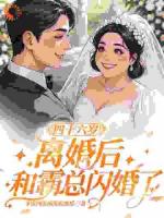 离婚？我的娇妻你在哪里！