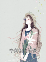 宁向初江淮景