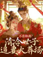 嫁高门宋芸昕
