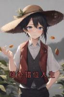 缝补错位人生