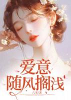 爱意随风搁浅