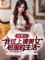 革职出狱后，我在黑暗中执行正义