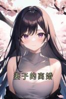妻子的离婚
