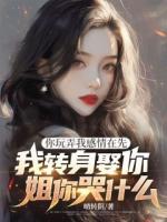 宋昭雪傅应川小说你玩弄我感情在先，我转身娶你姐你哭什么免费章节在线阅读