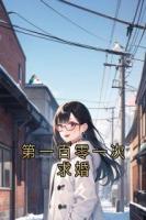 第一百零一次求婚