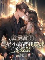 江晚栀傅恒越