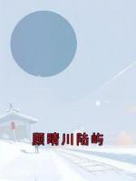 顾晴川陆屿