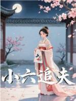 小六追夫