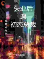 莫欺中年穷：失业后遇初恋总裁