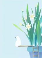 老公弃我如草芥，却不知我是他高攀不起的掌上明珠