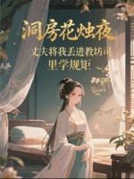 洞房花烛夜，丈夫将我丢进教坊司里学规矩