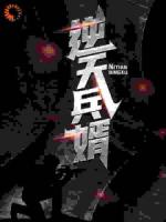 逆天兵婿