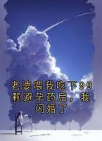 老婆喂我吃下99颗避孕药后，我闪婚了