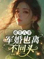 重生八零，军婚也离，不回头