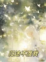 归途不渡我