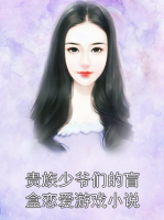 贵族少爷们的盲盒恋爱游戏小说