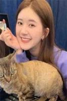 药香美人